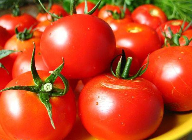 Вирощуєм помідори без фітофтори