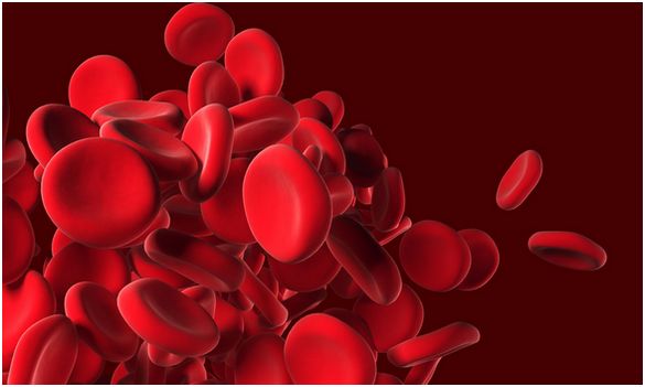 10 продуктів, що підвищують гемоглобін у крові